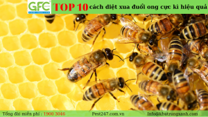 MÁCH BẠN TOP 10 cách diệt xua đuổi ong cực kì hiệu quả