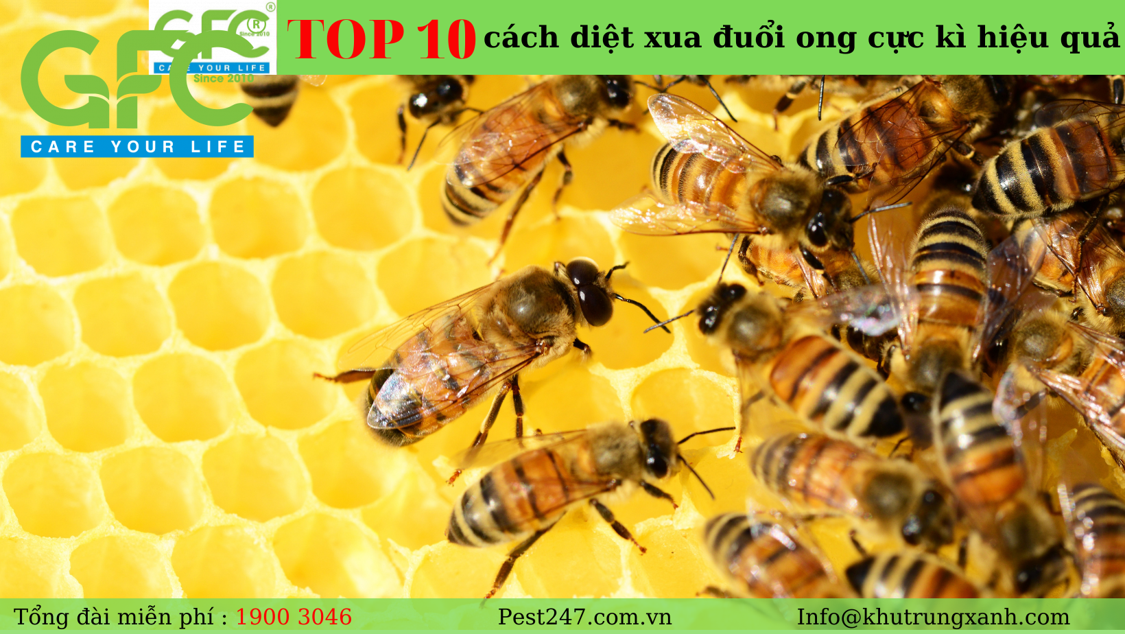 MÁCH BẠN TOP 10 cách diệt xua đuổi ong cực kì hiệu quả