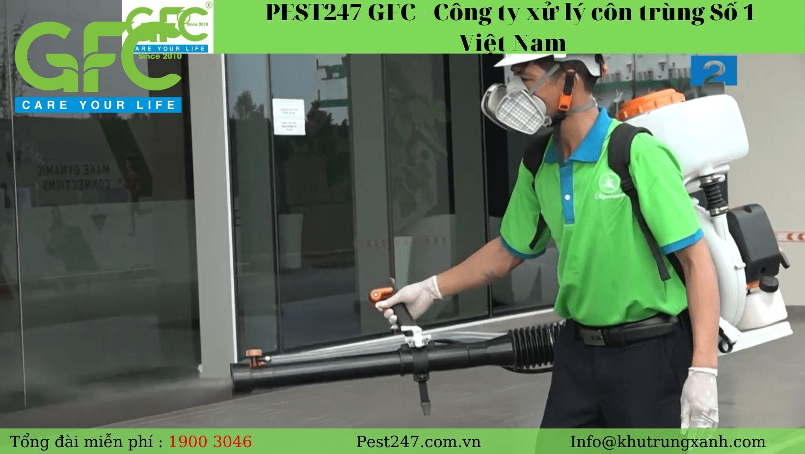 PEST247 GFC cung cấp xử lý côn trùng chất lượng 