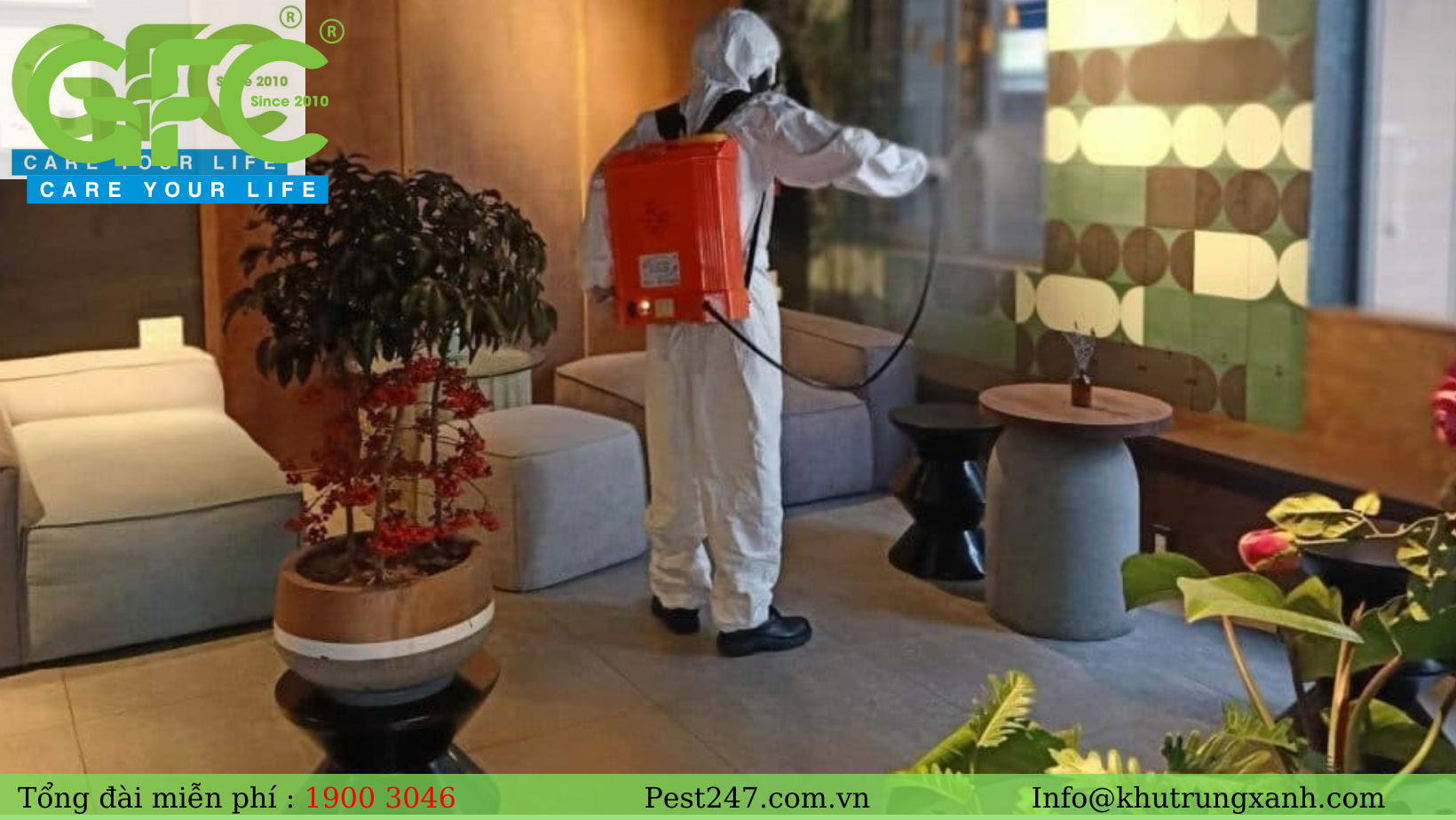 Đội phục vụ của Công ty dịch vụ khử trùng mọt Pest247 – GFC sẽ thực hiện thu dọn xác mọt